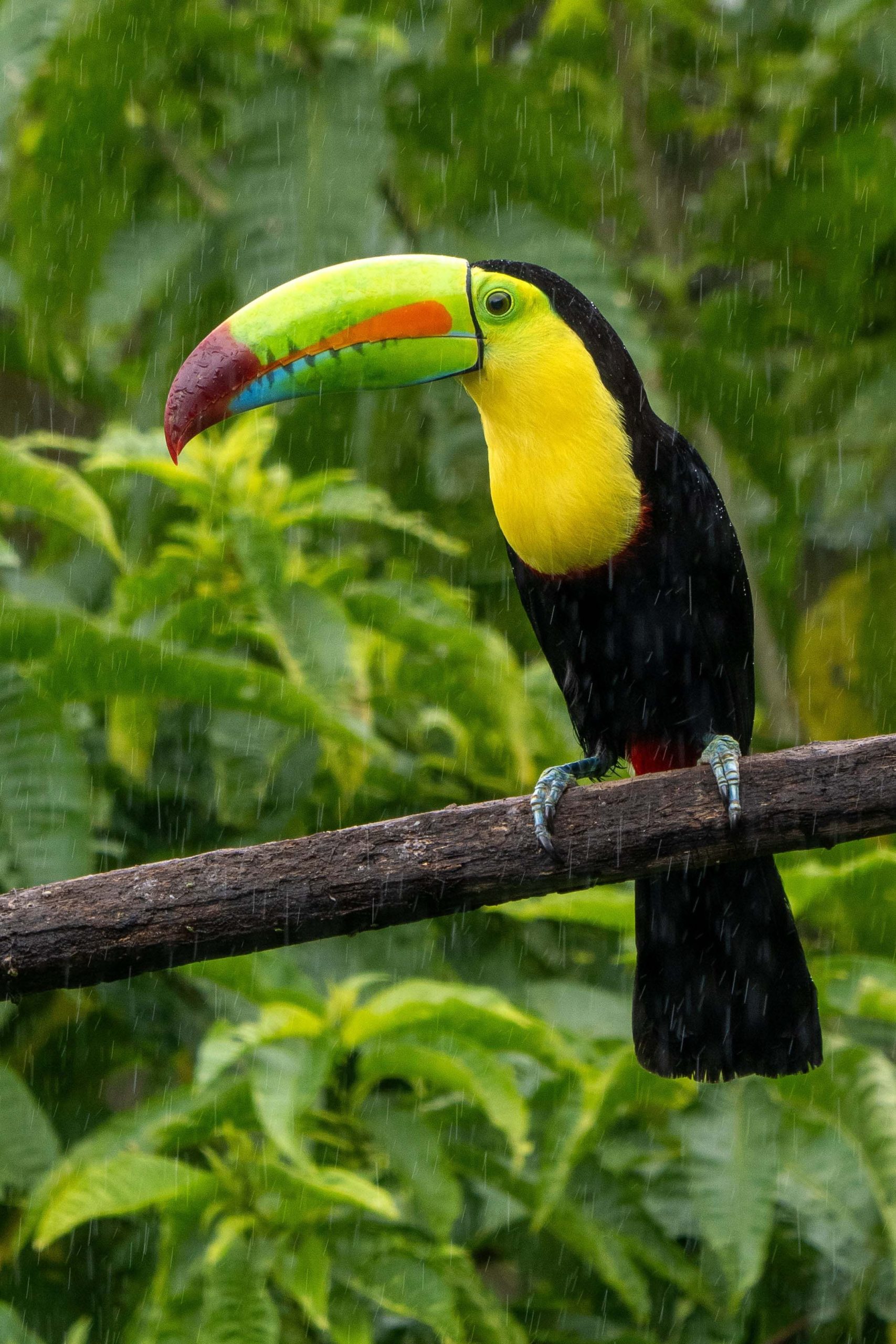 Costa Rica